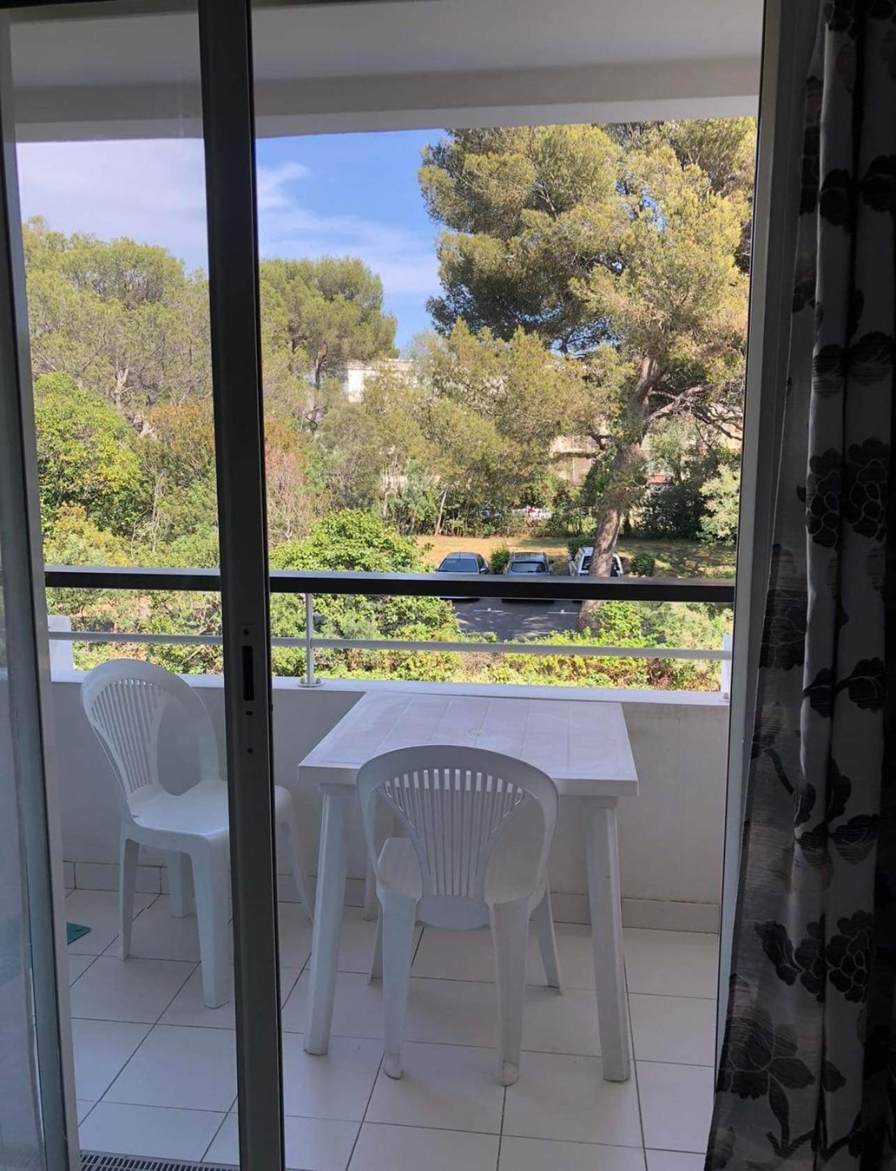 Superbe Appartement Avec Piscine Au Bord De La Mer Saint-Raphaël エクステリア 写真